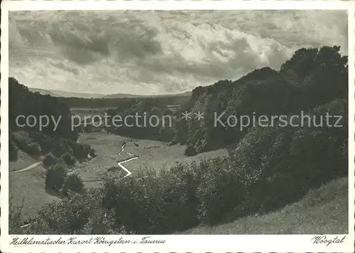 AK / Ansichtskarte Koenigstein Taunus Woogtal Landschaftspanorama Kat. Koenigstein im Taunus