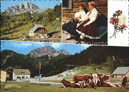 AK / Ansichtskarte Nassfeld Watschigalm Gartnerkofel Gailtaler Trachten Nassfeldpass Kuehe Landesgrenze Kat. Oesterreich