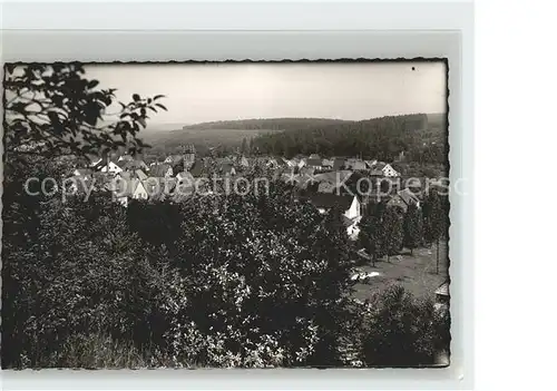 AK / Ansichtskarte Wrexen Blick vom Waldrand aus Kat. Diemelstadt