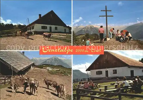 AK / Ansichtskarte Imst Tirol Venetalpe Alm Kuehe Gipfelkreuz Kat. Imst
