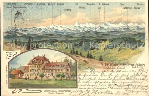 AK / Ansichtskarte Feldberg Schwarzwald Alpenpanorama vom Saentis bis Ritzlihorn Turmhotel Kat. Feldberg (Schwarzwald)