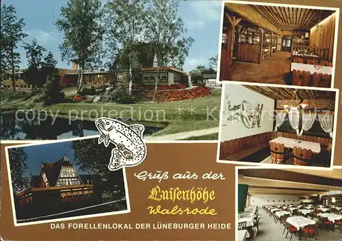 AK / Ansichtskarte Walsrode Lueneburger Heide Restaurant Luisenhoehe im Vogelpark Forelle Kat. Walsrode