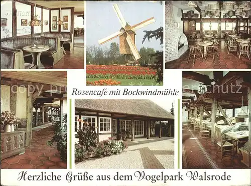 AK / Ansichtskarte Walsrode Lueneburger Heide Rosencafe mit Bockwindmuehle im Vogelpark Kat. Walsrode