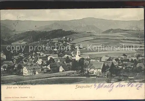 AK / Ansichtskarte Saupsdorf Panorama Blick vom Wachberg Kat. Kirnitzschtal