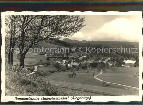 AK / Ansichtskarte Hinterhermsdorf Panorama Sommerfrische Kat. Sebnitz