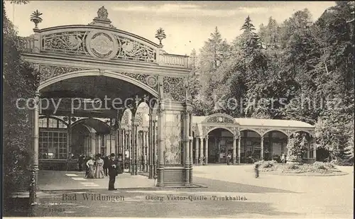 AK / Ansichtskarte Bad Wildungen Georg Viktor Quelle Trinkhalle Kat. Bad Wildungen