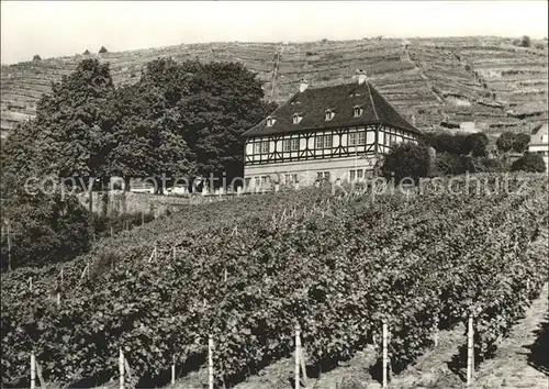 AK / Ansichtskarte Radebeul Schloss Hofloessnitz Kat. Radebeul