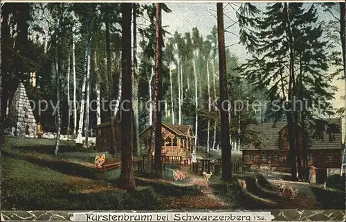 AK / Ansichtskarte Fuerstenbrunn Schwarzenberg Historischer Ort Denkmal Saechsischer Prinzenraub