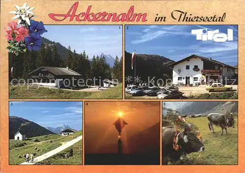 AK / Ansichtskarte Thiersee Alpengasthof und Sennerei Ackernalm Guttertspitze Wegekreuz im Sonnenaufgang Almabtrieb Kat. Thiersee