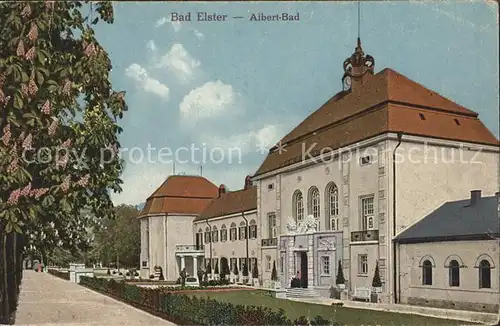 AK / Ansichtskarte Bad Elster Albertbad  Kat. Bad Elster