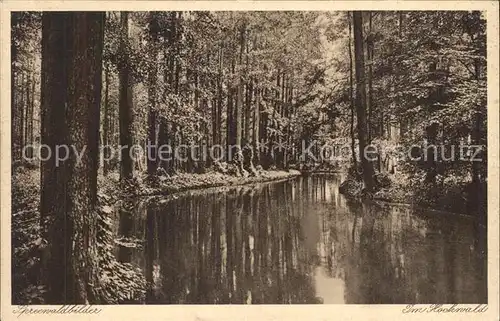 AK / Ansichtskarte Luebbenau Spreewald Wasserstrasse im Hochwald Serie Spreewaldbilder Kat. Luebbenau