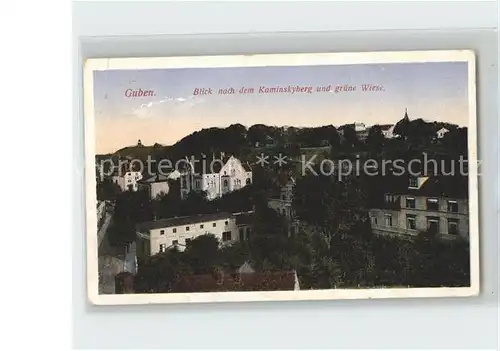 AK / Ansichtskarte Guben Blick nach dem Kaminskyberg und gruene Wiese Kat. Guben