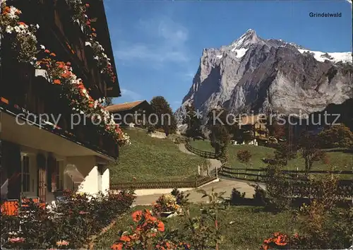 AK / Ansichtskarte Grindelwald Teilansicht mit Wetterhorn Berner Alpen im Sommer Kat. Grindelwald