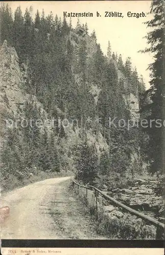 AK / Ansichtskarte Zoeblitz Sachsen Katzenstein im Tal der schwarzen Pockau Felsen Erzgebirge Kat. Zoeblitz