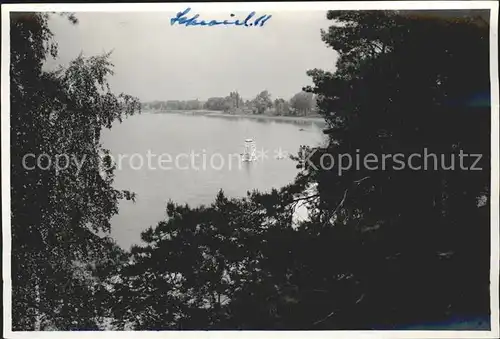 AK / Ansichtskarte Schwielochsee Blick vom Waldrand Kat. Schwielochsee