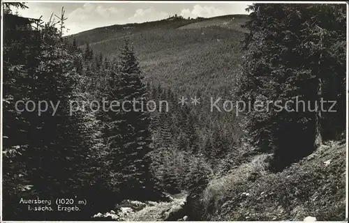 AK / Ansichtskarte Auersberg Wildenthal Blick vom Waldweg Unterkunftshaus Erzgebirge Bromsilber Kat. Eibenstock