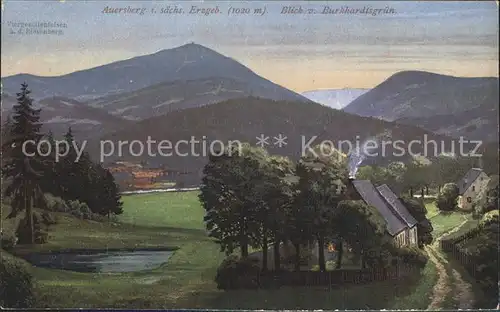 AK / Ansichtskarte Burkhardtsgruen Panorama Blick zum Auersberg Erzgebirge