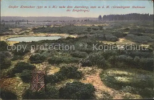 AK / Ansichtskarte Auersberg Wildenthal Grosser Kranichsee Hochmoor Erzgebirge Kat. Eibenstock