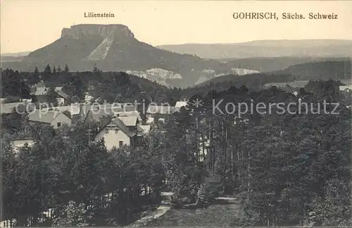 AK / Ansichtskarte Gohrisch Panorama mit Lilienstein Tafelberg Elbsandsteingebirge Kat. Gohrisch