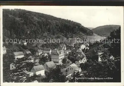 AK / Ansichtskarte Krippen Bad Schandau Teilansicht Kat. Bad Schandau