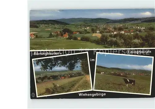 AK / Ansichtskarte Boerninghausen mit Eininghausen im Wiehengebirge Panorama Kat. Preussisch Oldendorf