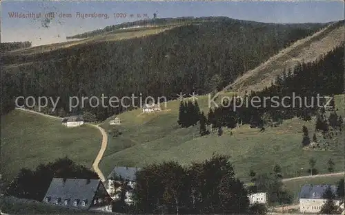 AK / Ansichtskarte Wildenthal Eibenstock mit dem Auersberg