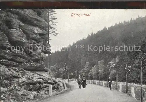 AK / Ansichtskarte Goeltzschtal Vogtland Wald Strasse 