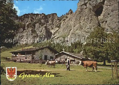 AK / Ansichtskarte Pertisau Achensee Gramai Alm Kuehe Kat. Eben am Achensee