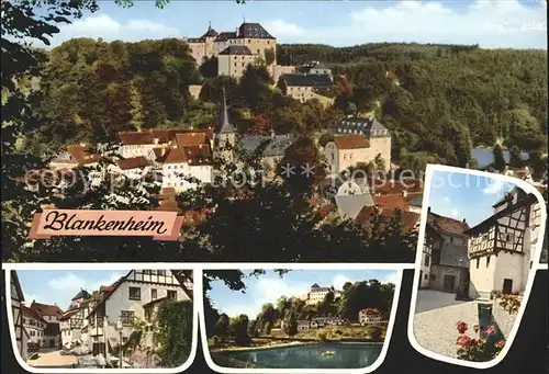 AK / Ansichtskarte Blankenheim Ahr mit Burg Schwanenweiher und Ahrquelle Kat. Blankenheim