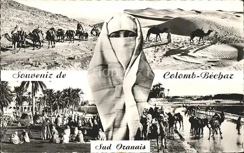 AK / Ansichtskarte Colomb Bechar Sud Oranais Camele Dunes de Sable Kat. Algerien