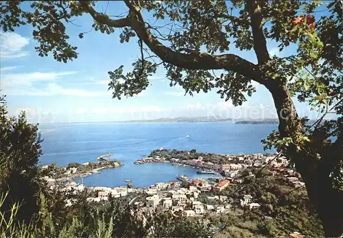 AK / Ansichtskarte Isola d Ischia Panorama Porto Hafen Kat. Golfo di Napoli