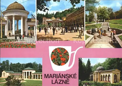 AK / Ansichtskarte Marianske Lazne Parkanlagen Kat. Marienbad