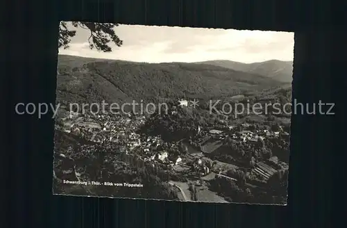 AK / Ansichtskarte Schwarzburg Thueringer Wald Panorama Blick vom Trippstein Kat. Schwarzburg