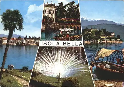 AK / Ansichtskarte Isola Bella Pfau Boote  Kat. Lago Maggiore