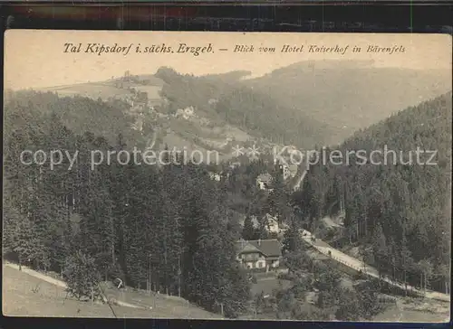 AK / Ansichtskarte Kipsdorf Blick vom Hotel Kaiserhof  Kat. Altenberg