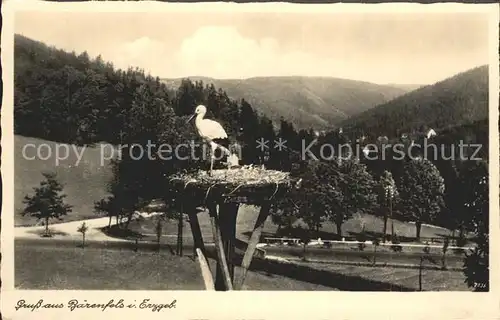 AK / Ansichtskarte Baerenfels Erzgebirge Storchennest Kat. Altenberg