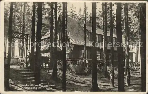 AK / Ansichtskarte Altenberg Erzgebirge Historische Waldschaenke Raupennest Kat. Geising