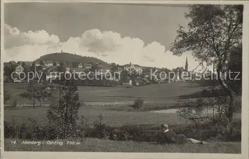 AK / Ansichtskarte Altenberg Erzgebirge Panorama Kat. Geising