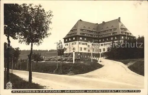 AK / Ansichtskarte Altenberg Erzgebirge Berghof Raupennest Kat. Geising