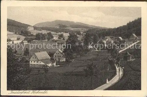 AK / Ansichtskarte Jonsdorf Panorama mit Hochwald Zittauer Gebirge Kat. Kurort Jonsdorf