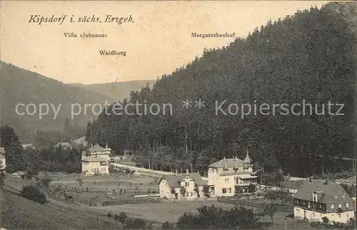 AK / Ansichtskarte Kipsdorf Villa Johanna Waldburg Margarethenhof Kat. Altenberg