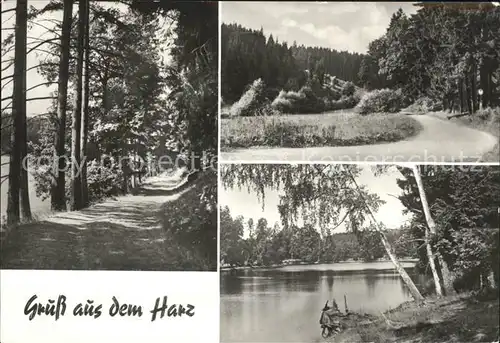 AK / Ansichtskarte Harz Region Silberhuette Teufelsgrund Uhlenbach Fuerstenteich