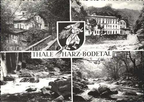 AK / Ansichtskarte Thale Harz Bodetal Hotel Waldkater  Kat. Thale