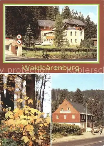 AK / Ansichtskarte Waldbaerenburg Ferienheim Schaefermuehle des VEB Radeberg HOG Riedelmuehle Kat. Altenberg