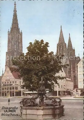 AK / Ansichtskarte Ulm Donau Delphinbrunnen mit Muenster Kat. Ulm