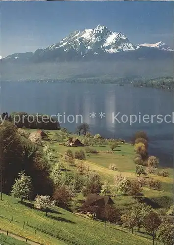 AK / Ansichtskarte Vierwaldstaettersee SZ Pilatus  Kat. Brunnen