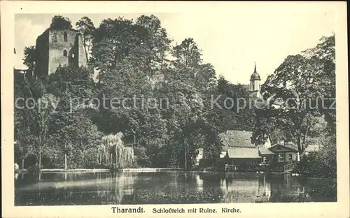 AK / Ansichtskarte Tharandt Schlossteich mit Ruine Kirche Kat. Tharandt