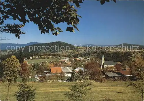 AK / Ansichtskarte Bischofsreut Haidmuehle Panorama Ferienort Bayerischer Wald Blick nach Boehmen Kat. Haidmuehle