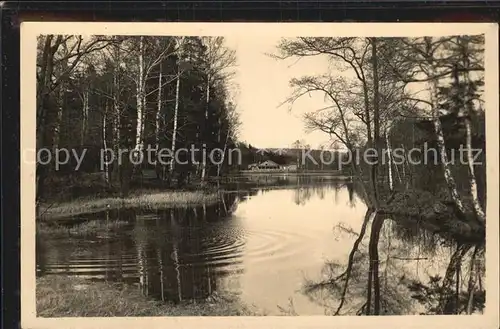 AK / Ansichtskarte Grillenburg Partie am Seerenteich Kat. Tharandt