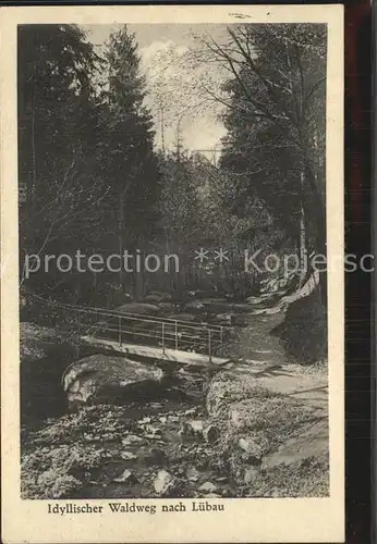 AK / Ansichtskarte Luebau Idyllischer Waldweg Bach Bruecke Kat. Rabenau Sachsen